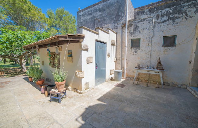 Masseria Le Palmentelle Pool And Garden - Photo 40