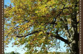 Ferienwohnung Rucksack-Bimbes - Foto 7