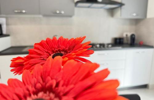 Za Melina Apartments Cefalù - Foto 15