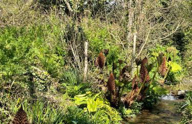 Beech Hut - a streamside family escape near Salcombe and Beaches - Foto 38