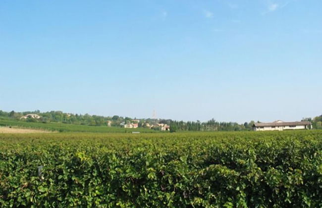 Agriturismo Caspineda - Foto 24