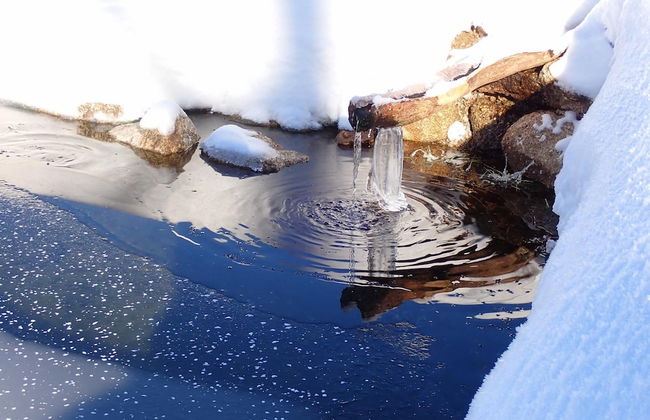 Korenov Lpm010 in Korenov - Foto 51