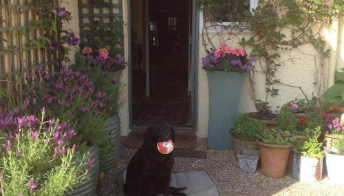 Beautiful Devon Farmhouse - Foto 3