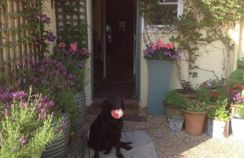 Beautiful Devon Farmhouse - Foto 3