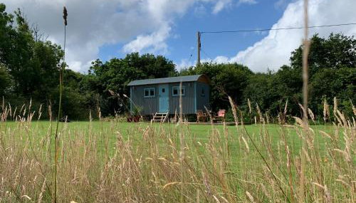 St. Kew Shepherd Huts - Foto 5, Garden, Garden view