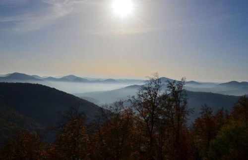 Palatinate Forest Comfortable holiday residence - Foto 14