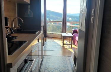 STUDIO plein sud "Les Arolles" Balcon de VILLARD DE LANS - Foto 8