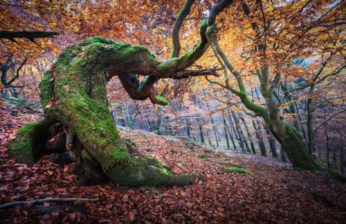 Frankenberg-am-Wald Frankenberg an der Eder - Foto 23