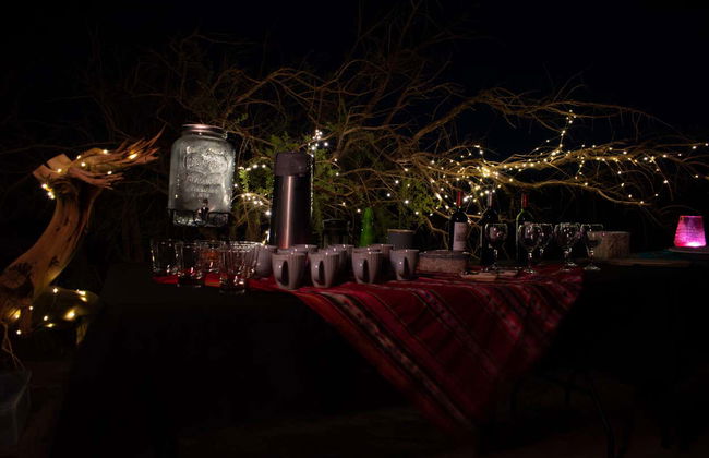 Atacama Desert Stargazing Tour - Photo 8