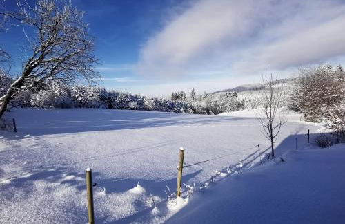 Auszeit, Erholung mitten in der Natur - Ferienhaus im Sauerland in Faulebutter - Foto 23