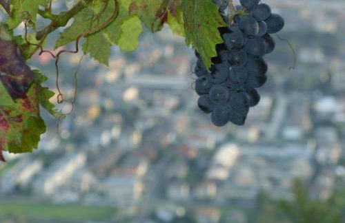 Agriturismo da Ysy - Foto 12