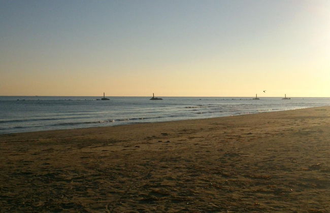 Oca Giuliva - Foto 34