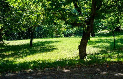 Tenuta i Maroneri - Photo 28