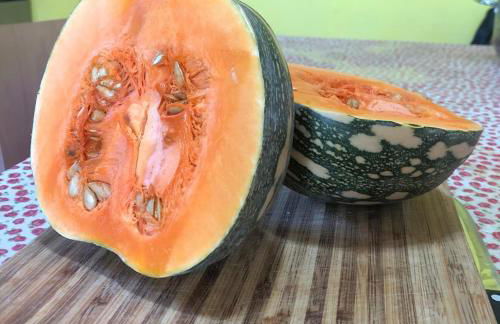 la masseria di Antonio e Teresina - Foto 13