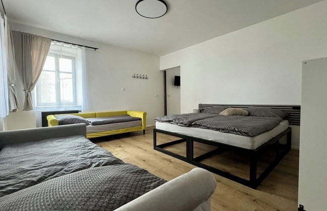 Family Apartments Černice - Foto 13