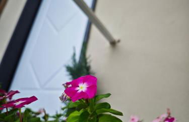 Home Ad Messinium - Foto 28