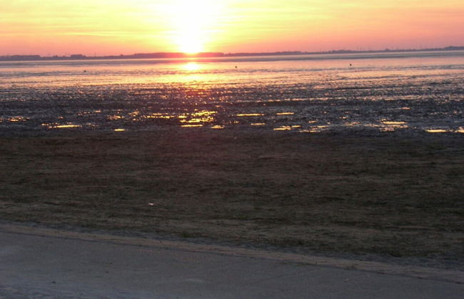 Holiday Apartment Sauer Large - Foto 20