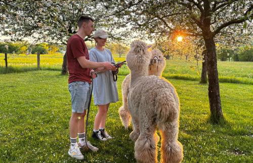 Ferienwohnung Peters (EG) - Foto 80