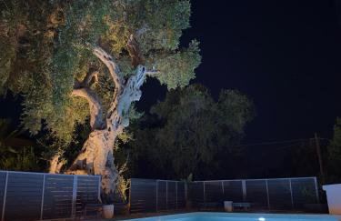 Paxos Dream House - Photo 36