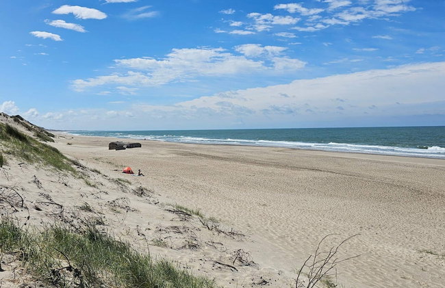 7 Person Holiday Home in Ulfborg - Photo 41