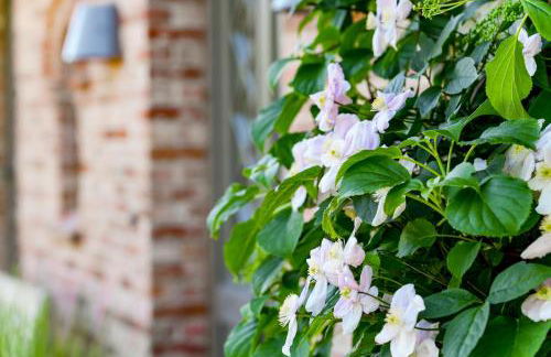 LITZKOW 13908 - Photo 25