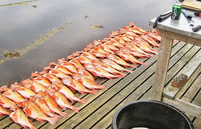 7 Person Holiday Home in Titran - Foto 31