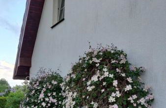 Reetdach - Ferienwohnung " Spann mol ut " bei Binz - Foto 17