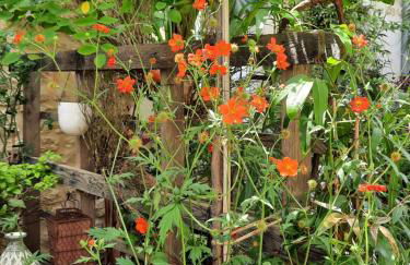 Terra-Crystal - Foto 62