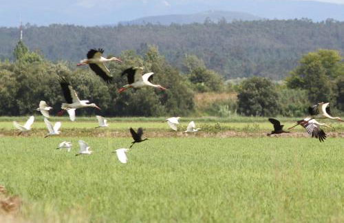 Cosy Home by l'Arche de Jo - Foto 20