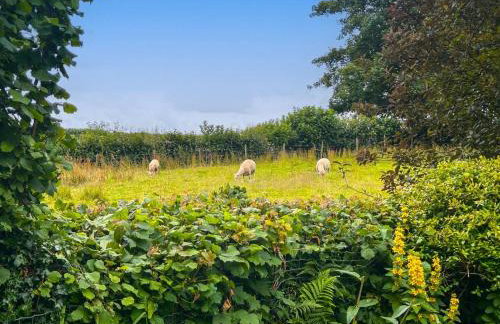 1 Bed in Torrington oc-88055 - Foto 21