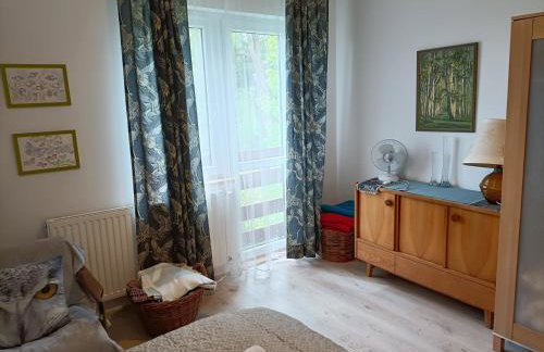 Kalinówka - apartament w domu nad Narwią - Foto 9