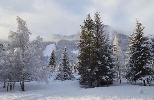 Sunny balcony steps from the slopes - Foto 18