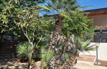 Villa Margherita - Foto 56