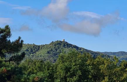 Casa Colonica - Foto 50