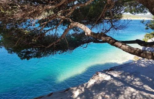 Apartment Sanja - Photo 9