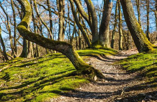 Ferienwohnung Iris Schumacher - Photo 14