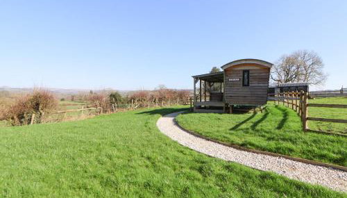 Golden Fleece - Foto 2