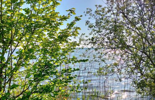 Ferienwohnung Elmo - Foto 14