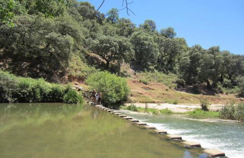 Vivienda Domínguez Sánchez - Photo 19