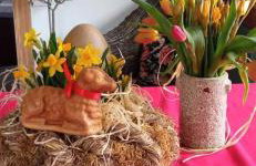 Agroturystyka Jak Makiem Zasiał Dworki 10 - Foto 43