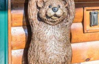 3-Story Private Cabin with Hot Tub and Fire Pit - Foto 4