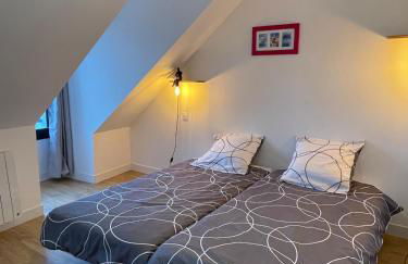 Plein centre Auray - Grand duplex 2 suites avec terrasse ensoleillée - Foto 23