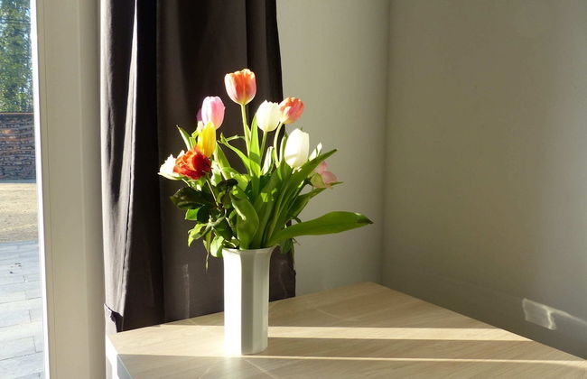 New House on the Edge of a Large Forest, Large Garden,very Quiet, Beautiful Area - Foto 20