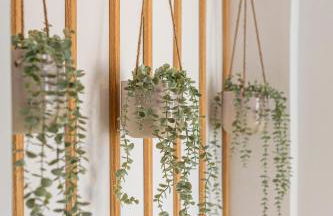 Chalet Marias - Parede beach apartments - Foto 11