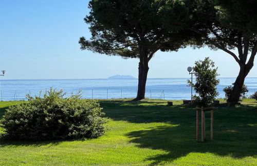 Appartement n 79 Moriani plage - Foto 62