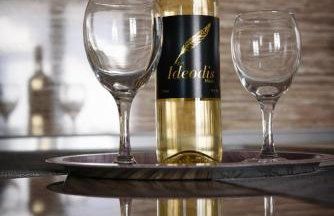 Haus Viktoria 2 - Photo 25