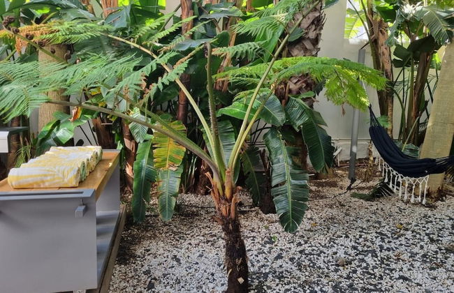 Amara Lincoln - 100m From Camps Bay Beach - Foto 2