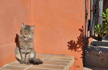 Villa Colli - Foto 28