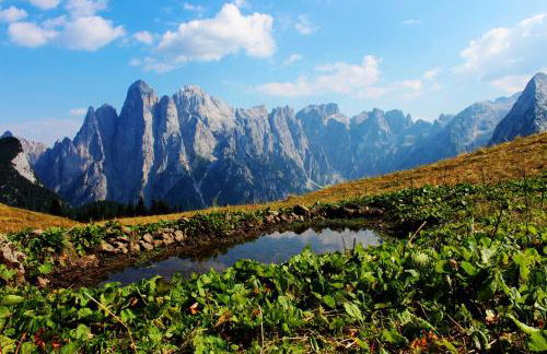 Apartment El Cor - Photo 55