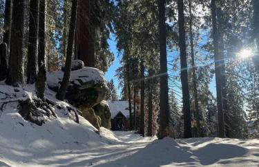 Sweet getaway in private Giant Sequoia Grove! - Foto 25